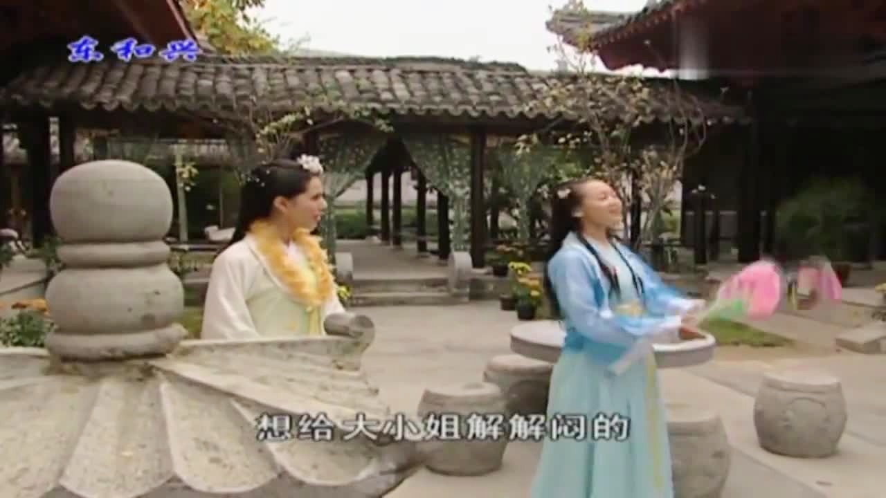 劉伯溫白小姐一肖期期準(zhǔn)，神秘預(yù)測(cè)背后的真相，劉伯溫白小姐生肖預(yù)測(cè)揭秘，神秘預(yù)測(cè)背后的真相