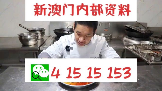 管家婆一肖資料大全，深度解析與探索，管家婆一肖資料深度解析與探索大全