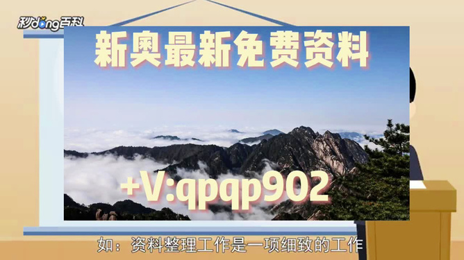 新奧49正版資料，全面解析與SEO優(yōu)化策略，新奧49正版資料詳解與SEO優(yōu)化策略探討