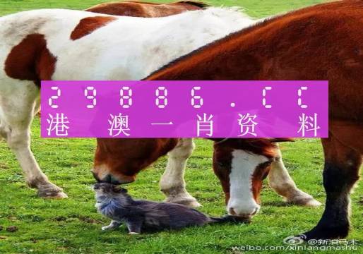 新奧門一肖一碼，揭秘精準預測的秘密，揭秘新澳門一肖一碼精準預測的秘密