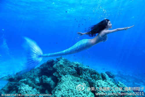 澳門美人魚最快開獎(jiǎng)結(jié)果圖——揭秘?zé)衢T彩票游戲背后的秘密，澳門美人魚彩票開獎(jiǎng)揭秘，最新結(jié)果圖與游戲背后秘密探索