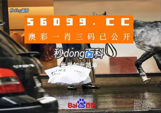 新澳一碼三中三資料，探索與解析，新澳一碼三中三資料解析與探索