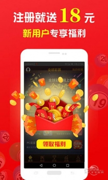 王中王中特一肖，揭秘背后的故事與神秘魅力，揭秘王中王中特一肖背后的故事與獨(dú)特魅力