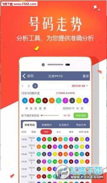 王中王四肖選一，揭秘選擇與優(yōu)化策略，王中王四肖選一，選擇與優(yōu)化策略的揭秘