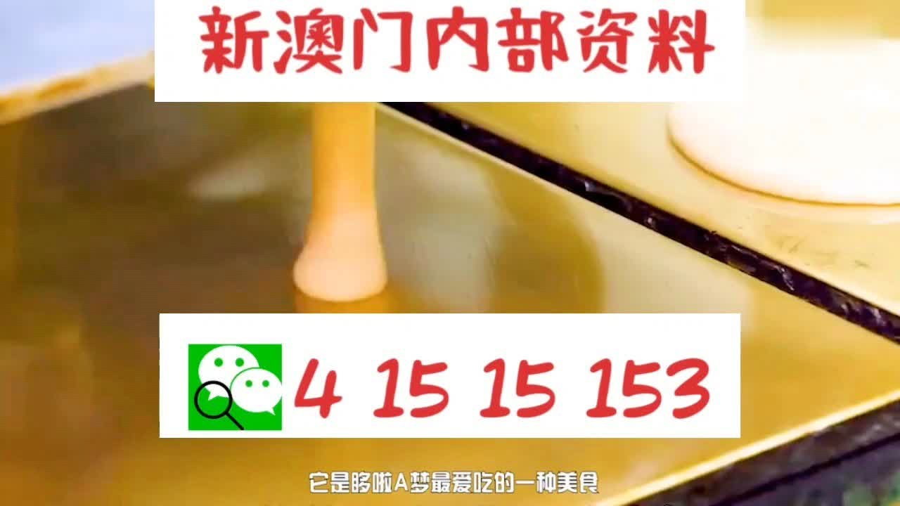 新澳門內(nèi)部十碼中特，探索與解析，新澳門內(nèi)部十碼中特，深度探索與解析