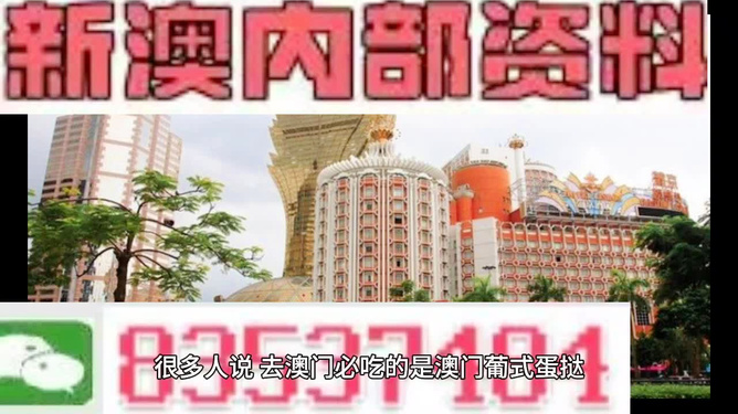 新澳門三中三碼精準(zhǔn)預(yù)測(cè)，揭秘成功概率背后的秘密與策略（附詳細(xì)解析），揭秘新澳門三中三碼成功預(yù)測(cè)背后的秘密與策略解析