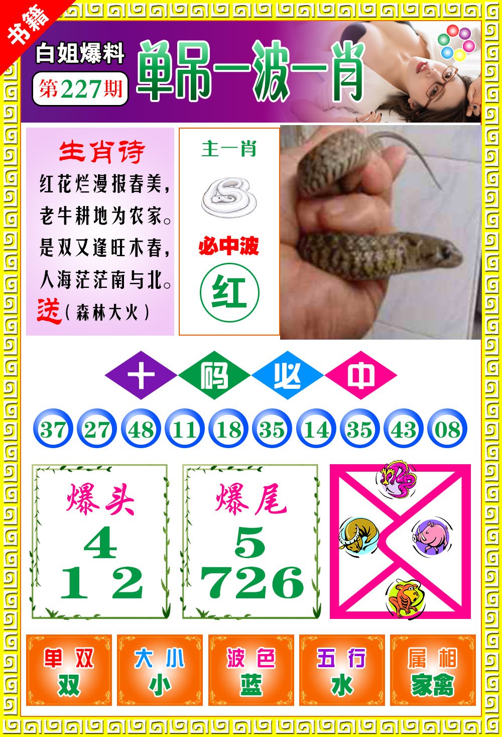 王中王免費開獎一肖結(jié)果，揭秘彩票背后的秘密，揭秘王中王彩票開獎內(nèi)幕，一肖結(jié)果背后的秘密揭曉