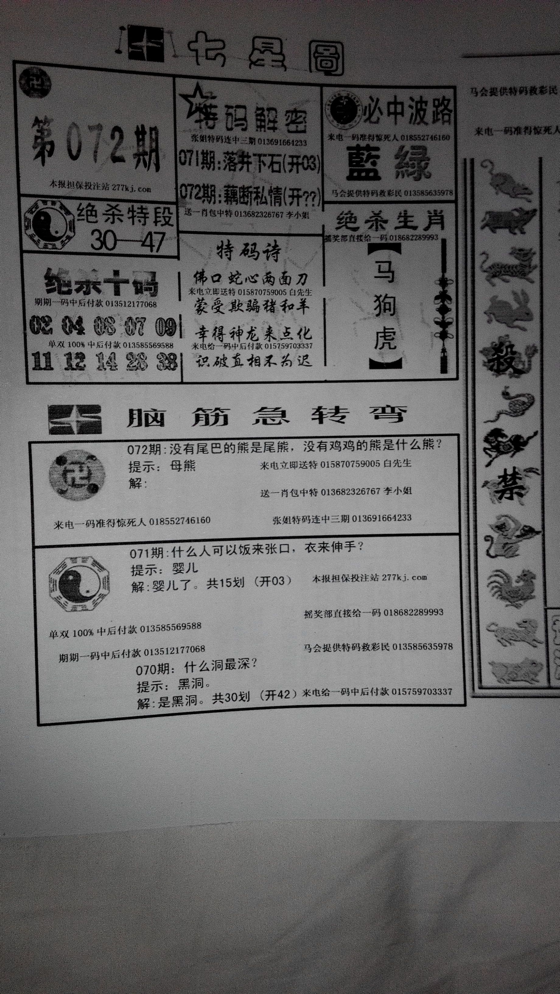 王中王230期指一生肖——揭秘生肖文化中的奧秘與魅力，揭秘生肖文化中的奧秘與魅力——王中王230期指一生肖