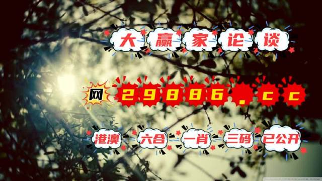 澳門今必開一肖一碼，深度解析與探索，澳門生肖一碼深度解析與探索