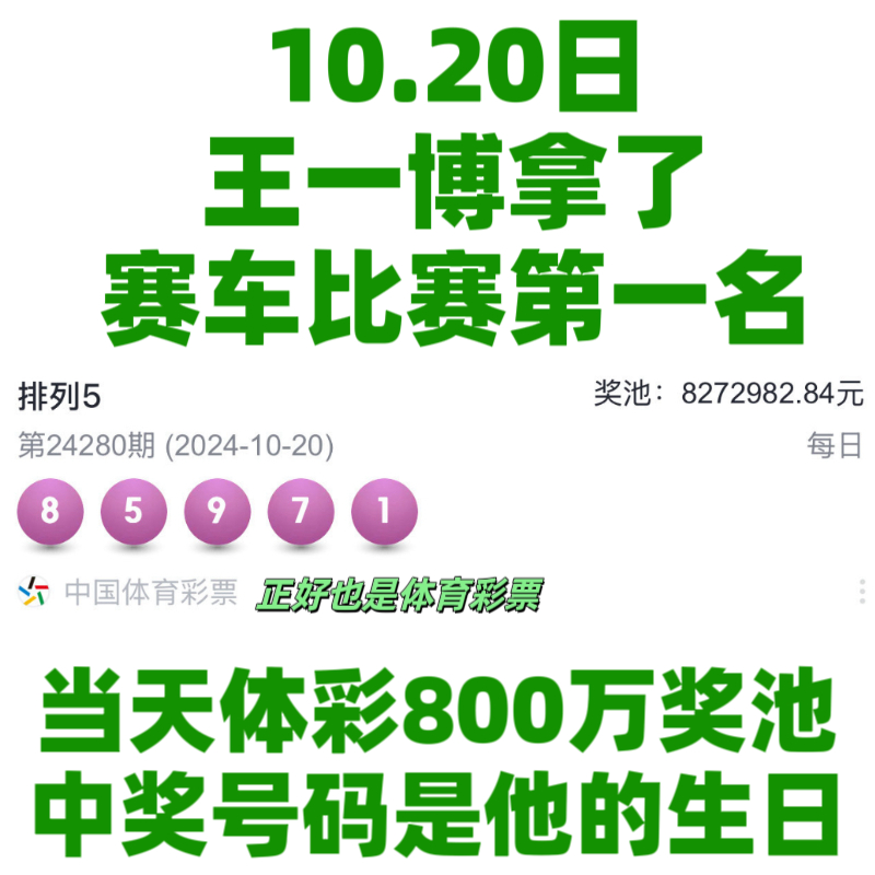 王中王一肖資料中特馬——深度解析與SEO洞察，王中王一肖特馬深度解析與SEO洞察揭秘