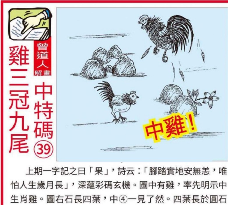 澳門2025全年資料