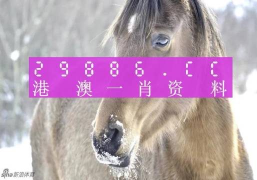 澳門(mén)一肖一碼背后的故事，精準(zhǔn)背后的秘密與傳奇，澳門(mén)一肖一碼背后的秘密與傳奇故事揭秘