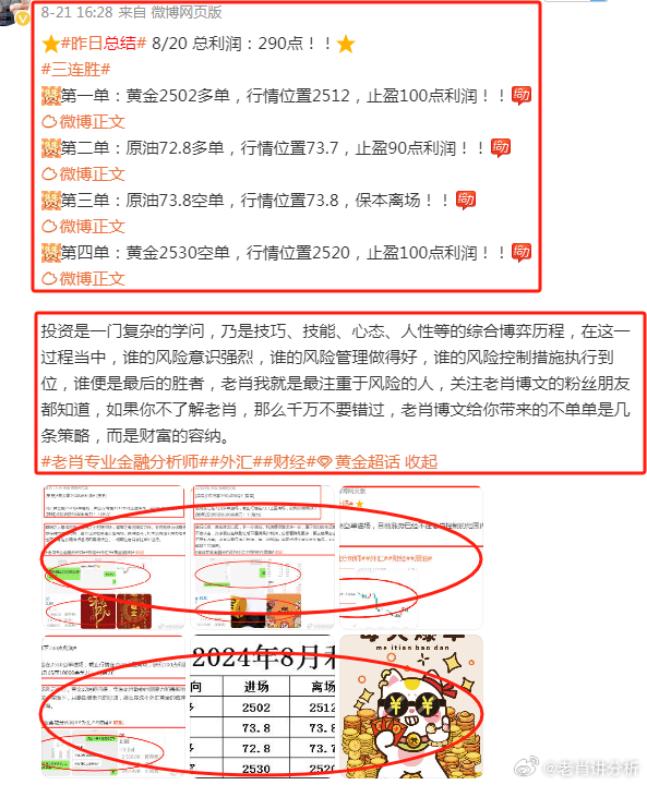 王中王香港一肖，揭秘背后的故事與SEO奧秘，王中王香港一肖背后的故事與SEO奧秘揭秘