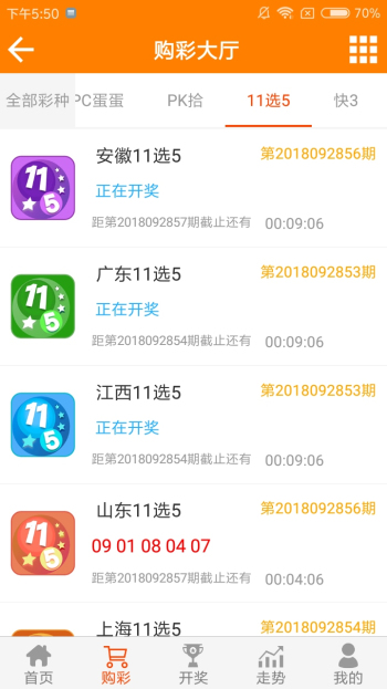 王中王資料一肖一特，深度解析與探索，王中王資料一肖一特，深度解析與探索揭秘