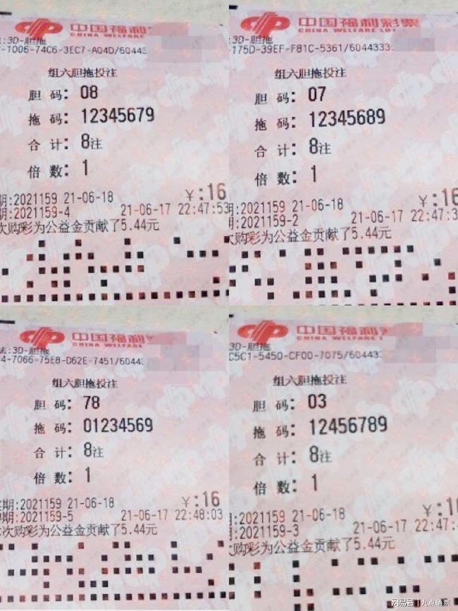王中王四肖精選一肖新聞，揭秘背后的故事與趨勢(shì)，王中王四肖精選揭秘，背后的故事與趨勢(shì)聚焦一肖新聞