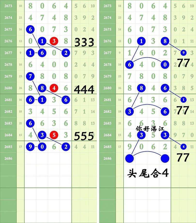 一肖三碼王中王絕密，揭秘背后的秘密與策略洞察，揭秘一肖三碼王中王絕密策略與背后秘密