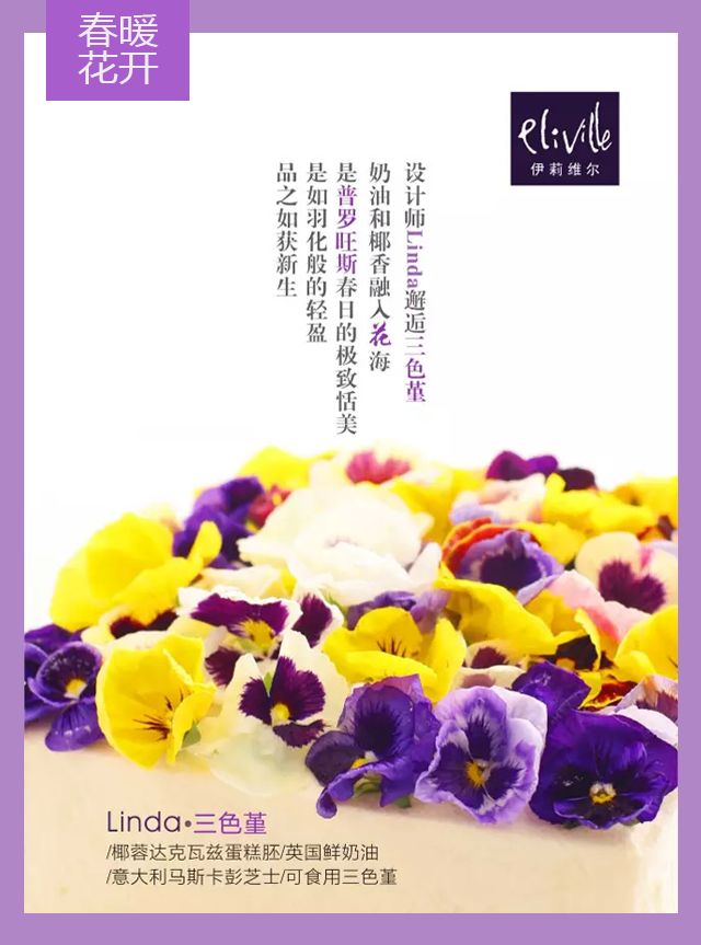 王中王339期指一生肖——探尋背后的秘密與玄機，探尋王中王339期生肖背后的秘密與玄機