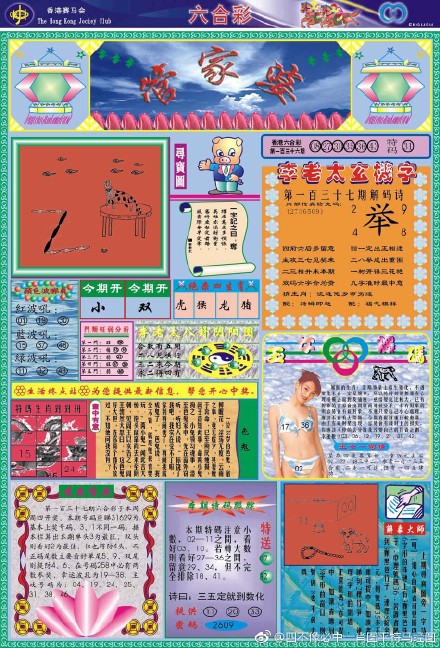 王中王四肖三期開特一，深度解析與探索，王中王四肖三期開特一，深度剖析與探索揭秘