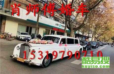 王中王車奪平特一肖免費——深度解析與探索，王中王車奪平特一肖，深度解析與免費探索