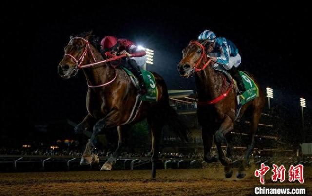 香港王中王一肖中特馬，探索背后的奧秘，香港王中王一肖中特馬背后的奧秘探索