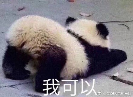 揭秘劉伯溫特一肖與四不像的神秘面紗——探尋背后的故事與真相，劉伯溫特一肖與四不像背后的故事與真相揭秘