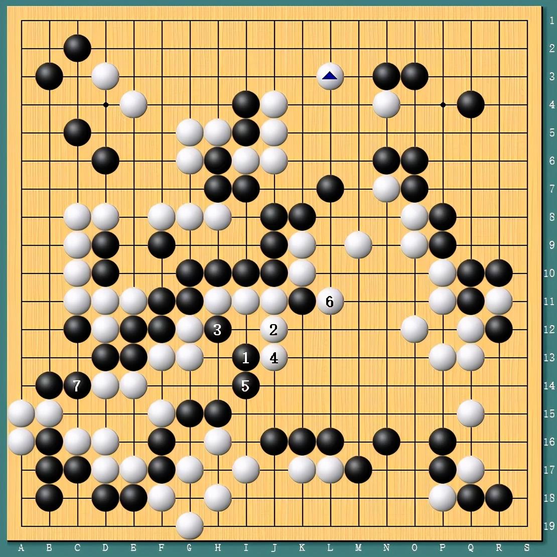 王中王四肖一碼資料論壇，探索與解析，王中王四肖一碼資料論壇，深度探索與解析