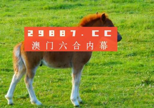 新奧門一肖一馬平特大全，揭秘?zé)衢T關(guān)鍵詞背后的故事，揭秘新澳門熱門關(guān)鍵詞背后的故事，一肖一馬平特大全