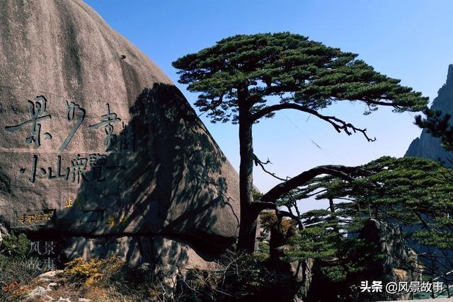 澳門(mén)四不像正版