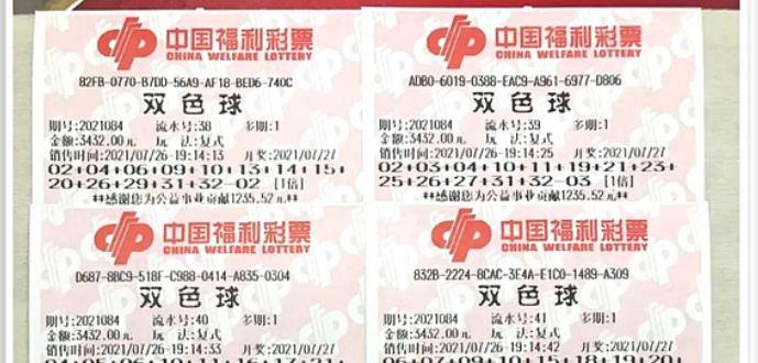 王中王084期指一生肖，解讀背后的秘密與生肖運勢分析，王中王084期生肖揭秘，秘密解讀與運勢展望