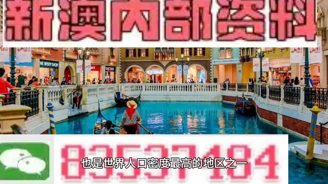 澳門王中王六碼新澳門，探索與解析，澳門王中王六碼新澳門，深度探索與解析