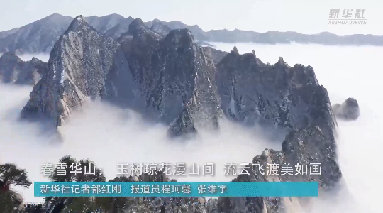 澳門最精準龍門，探索真正的精準之道，澳門最精準龍門，揭秘真正的精準之道