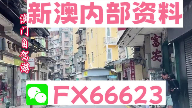 新澳精準資料免費提供，探索與利用資源助力成功，新澳精準資料免費分享，助力成功探索與利用資源