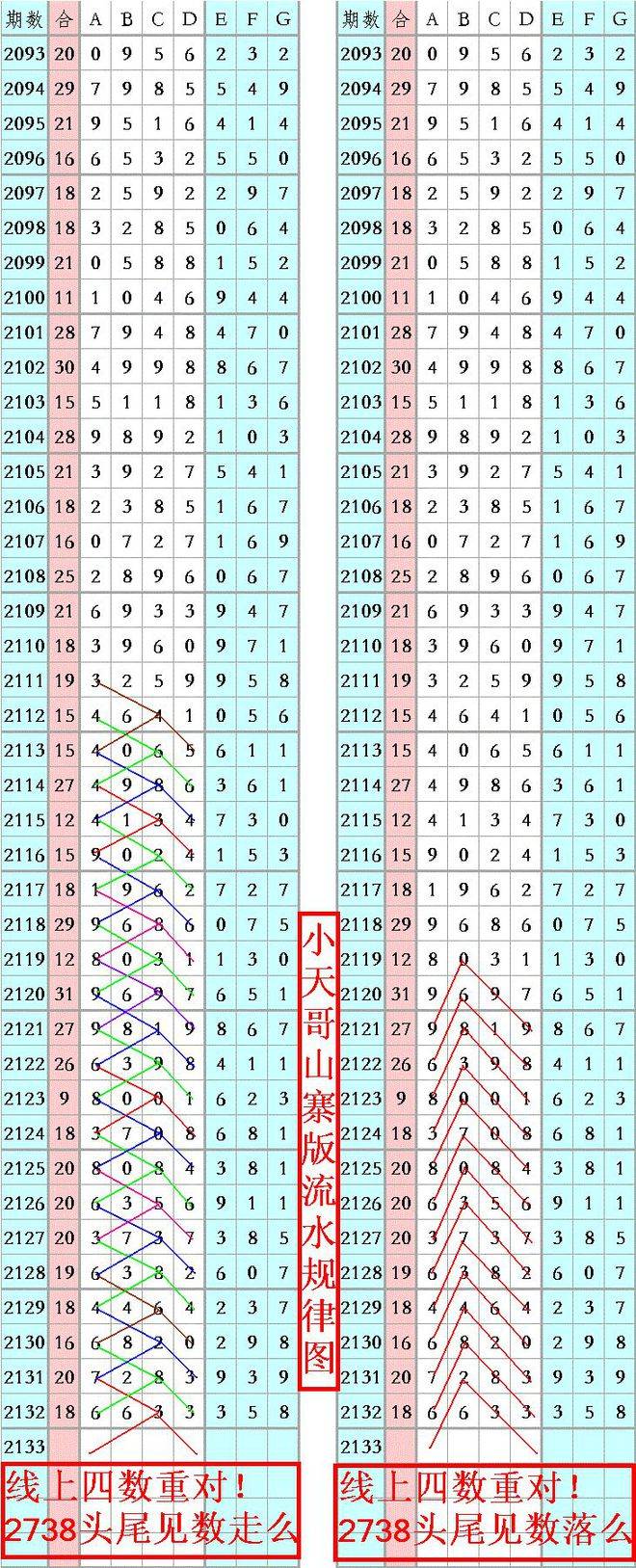 王中王資料一肖正特馬，深度解析與探索，王中王資料一肖正特馬深度解析與探索揭秘