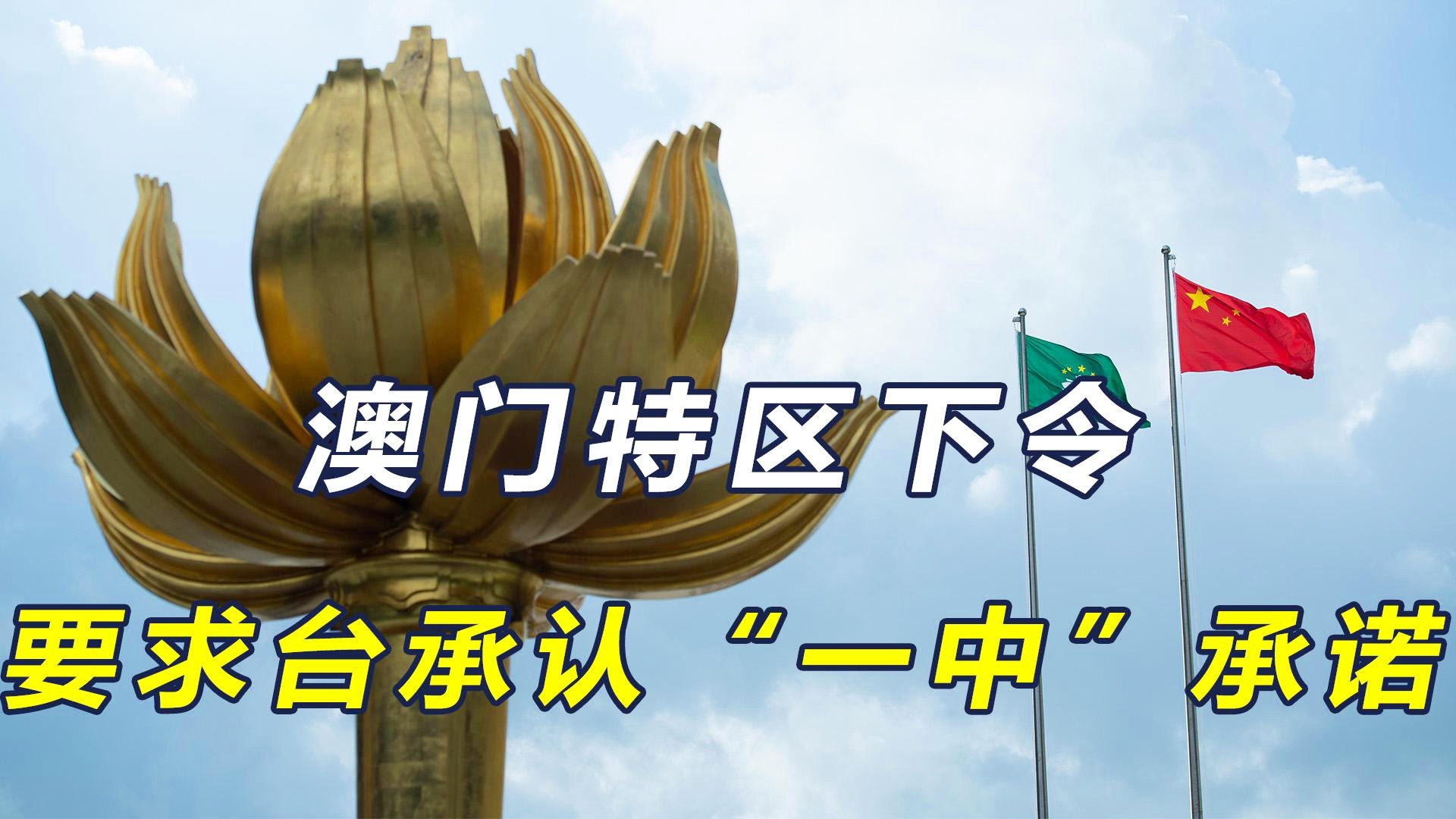 一碼一肖奧秘