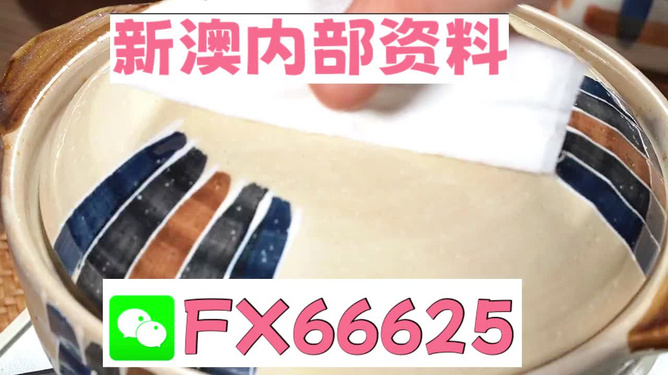 新澳精準資料免費提供，探索與實踐的指南，新澳精準資料免費分享，探索與實踐的導(dǎo)航指南