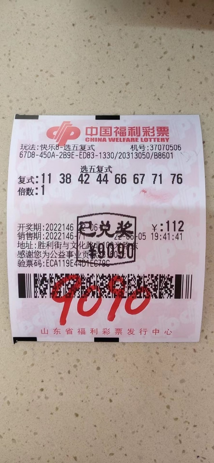 揭秘002期王中王平特一肖，背后的故事與奧秘，揭秘王中王平特一肖背后的故事與奧秘（第002期）