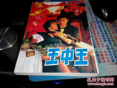 王中王資料一肖中特小說，深度解析與探索，王中王資料一肖中特小說的深度解析與探索之旅