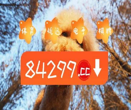 澳門天天開彩好正版掛牌第168期，探索彩票的魅力與策略，澳門彩票探索，魅力與策略揭秘 第168期正版掛牌開彩體驗