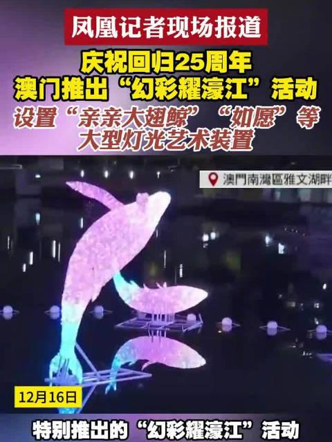 新澳門六開獎(jiǎng)結(jié)果查詢濠江論壇——快速獲取開獎(jiǎng)信息的首選平臺(tái)，澳門六開獎(jiǎng)結(jié)果查詢首選平臺(tái)，濠江論壇快速更新開獎(jiǎng)信息