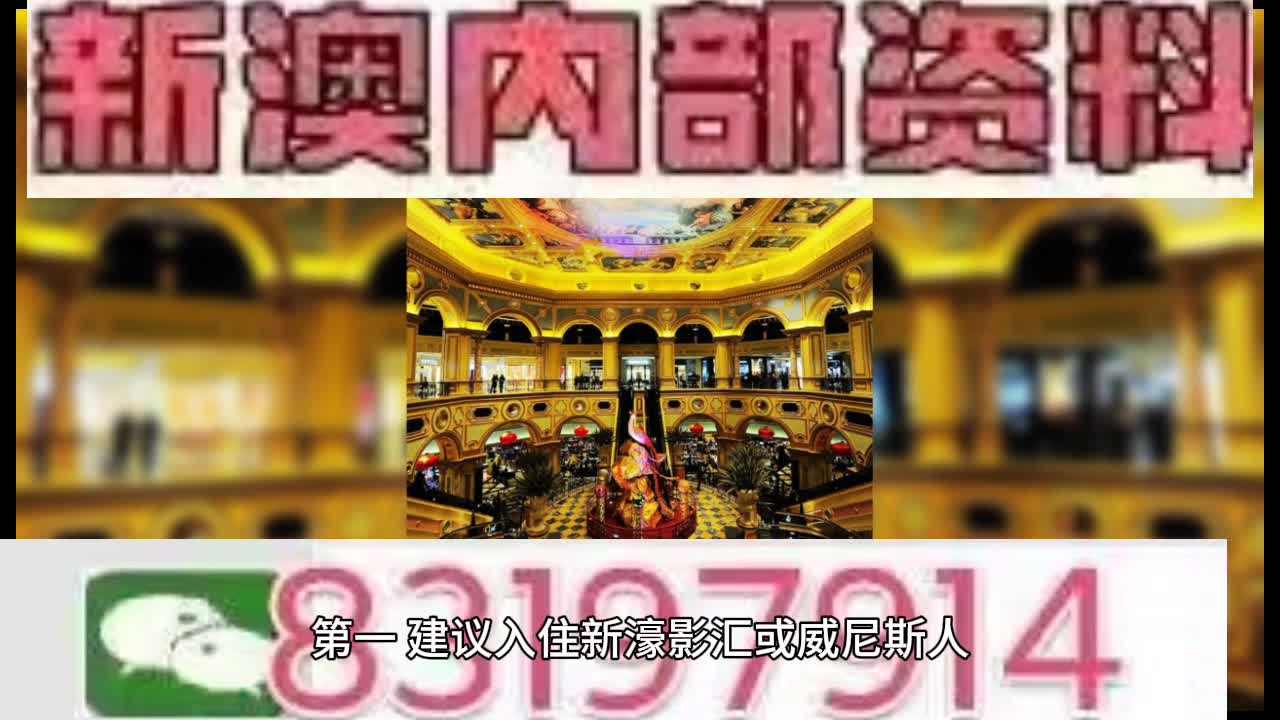 新澳門特馬王，探索與解析，新澳門特馬王，深度探索與解析