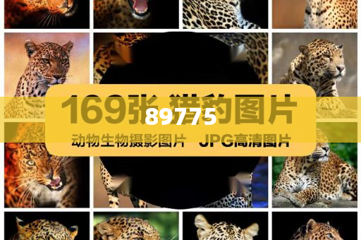 關(guān)于新奧歷史開獎(jiǎng)記錄的最新信息，今天公布了嗎？，新奧歷史開獎(jiǎng)記錄最新信息公布了嗎？