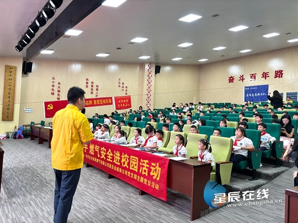 新奧49正版資料，探索與解析，新奧49正版資料深度探索與解析