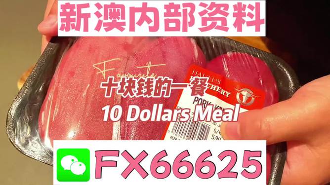 紅雙喜新澳資料，深度解析與SEO優(yōu)化策略，紅雙喜新澳資料深度解析與SEO優(yōu)化策略探討