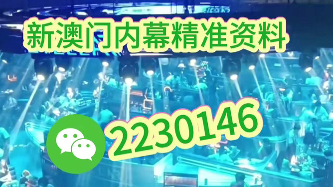 澳門今晚開什么，探索未來的機(jī)遇與挑戰(zhàn)，澳門未來機(jī)遇與挑戰(zhàn)，今晚開什么？