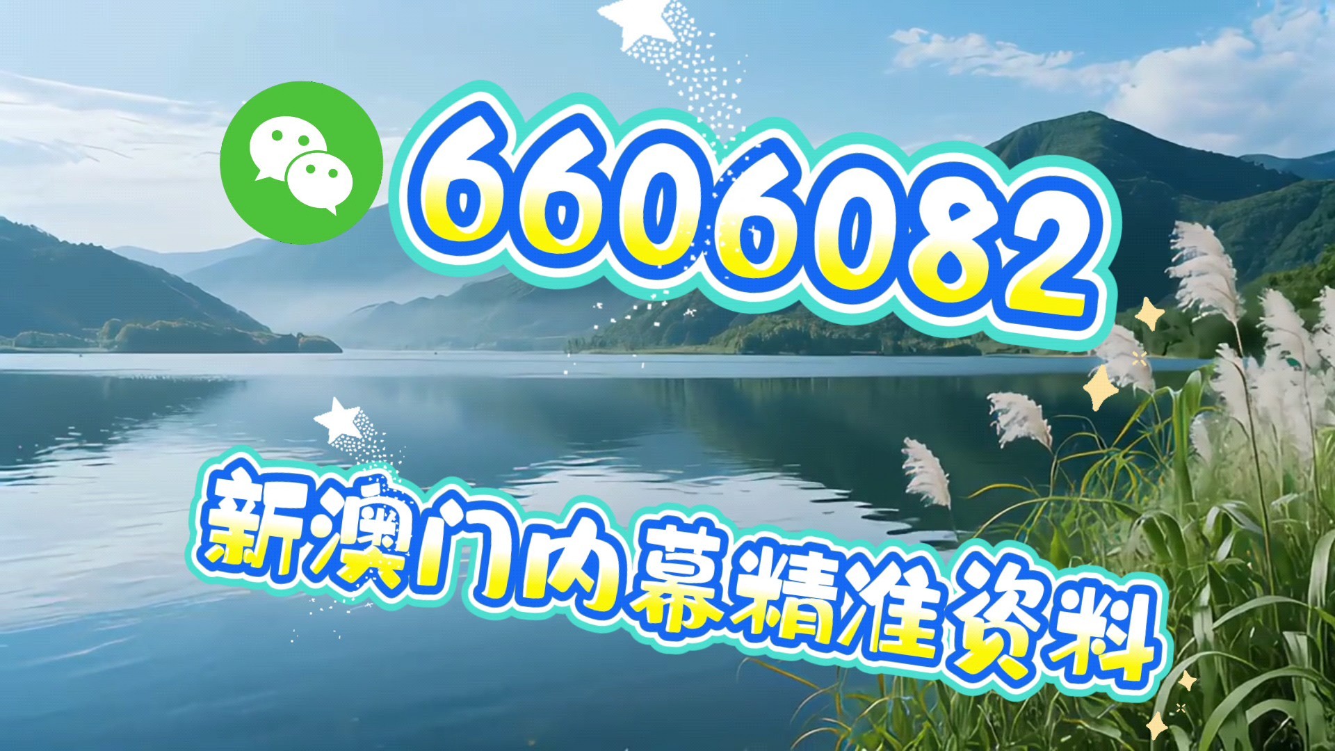 澳門今晚必開一肖一特，探索生肖彩票的魅力與策略，澳門生肖彩票探索，魅力揭秘與策略攻略
