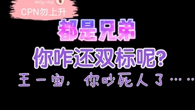 一肖二肖是什么意思——深度解析中國(guó)民俗中的生肖文化，深度解析中國(guó)民俗中的生肖文化，一肖二肖的含義與故事