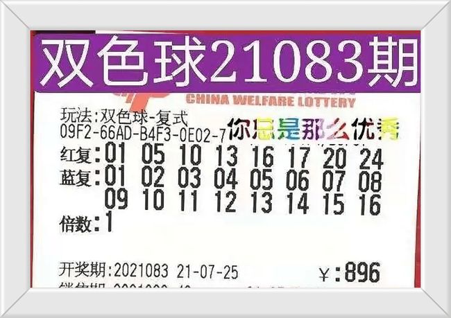 香港今晚開獎結(jié)果號碼，探索彩票背后的秘密，香港彩票開獎結(jié)果揭秘，探索彩票背后的神秘面紗